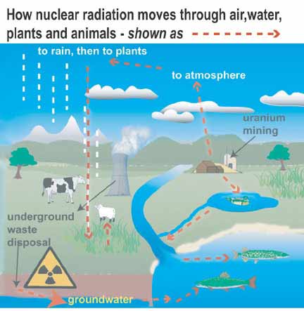 env&radiation