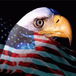 America-eagle