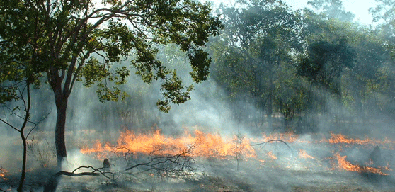 fire-early-season-Arhem-Lan