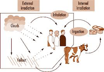radiation-external-internal