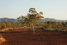Pilbara_landtenure