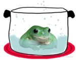 frog boiling