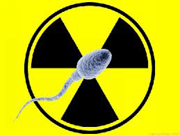 sperm-and-radiation