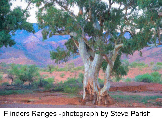 Flinders ranges
