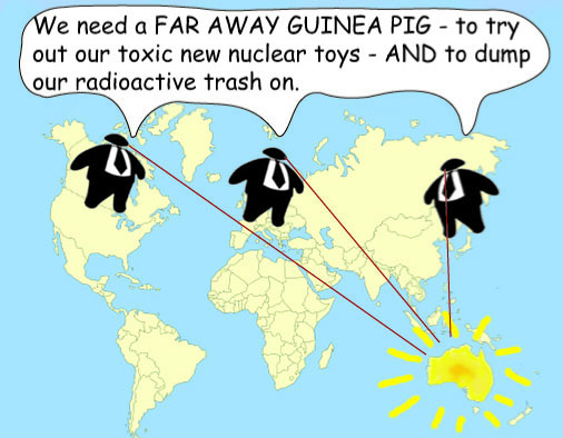 Australia guinea pig