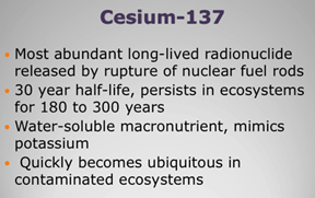 text cesium