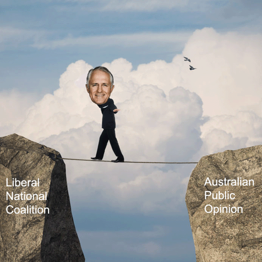 Turnbull tightrope