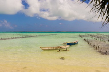Kiribati, with about 92,000 inhabitants, recently bought land in Fiji to relocate its inhabitants as the sea level rises. Image: Shutterstock
