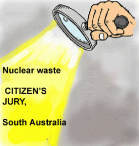 Citizens' Jury scrutiny