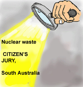 Citizens' Jury scrutiny