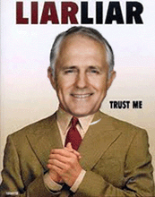 Turnbull liar