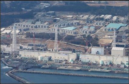 14142024_341579329515642_2894444470286594250_n