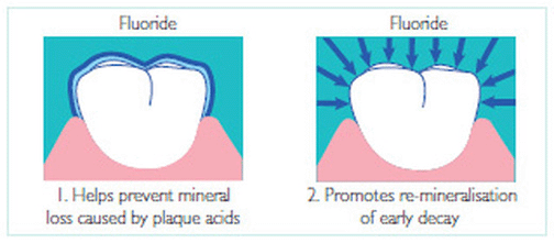 diagram-fluoride