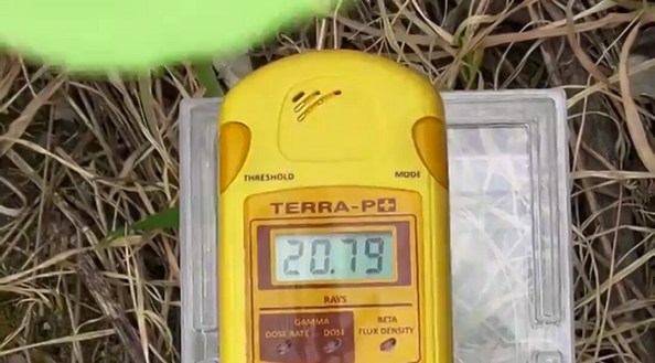 16601834_1624279681214949_5974120814695713376_o