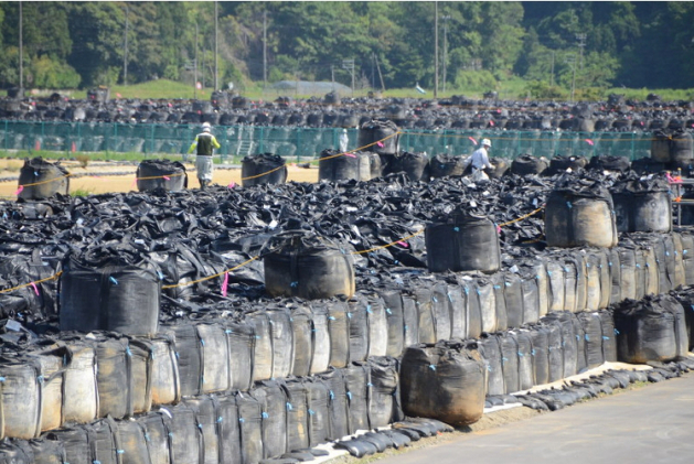 june 2016 minamisoma.jpg