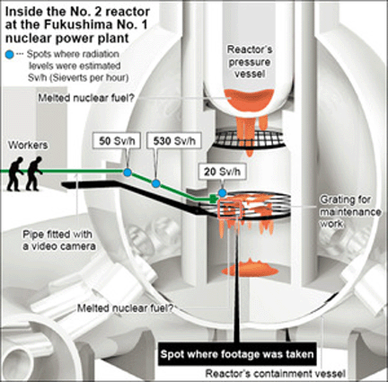 radiation-levels-fuk-190217