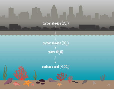 ocean-acidification