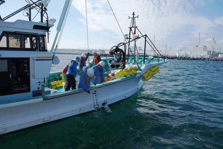 fukushima_crchecked_dd_Petr